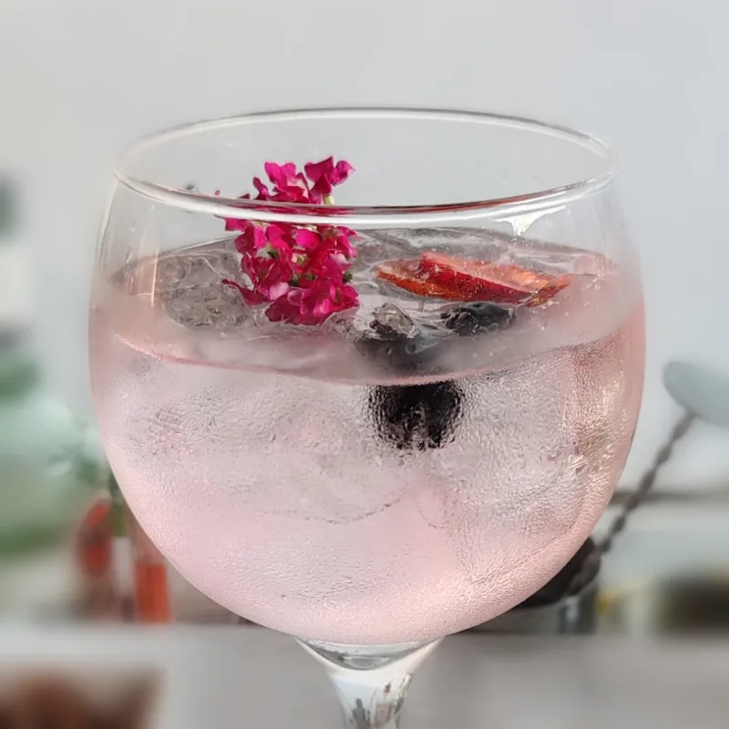 Gin tonic de frutos rojos